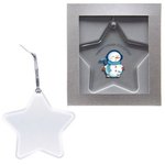 Acrylic Ornament - Star